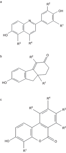 Figure 1.  Skeletal structure of estrogenic compounds. The moieties derivatised in each compound is indicated and referred in the Tables 1, 2, and 3.