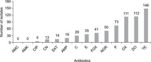 Figure 1 Resistance of CoNS isolates to selected antibiotics.Notes: AMC, amoxicillin/clavulanic acid; AMK, amikacin; CIP, ciprofloxacin 5 µg; CN, gentamicin 10 µg; SXT, trimethoprim/sulfamethoxazole 25 µg; AMP, ampicillin 10 µg; C, chloramphenicol 30 µg; E, erythromycin 15 µg; FOX, cefoxitin 30 µg; NOR, norfloxacin 10 µg; P, benzyl penicillin 1 unit; OX, oxacillin 1 µg; DO, doxycycline 30 µg; TE, tetracycline 30 µg.Abbreviation: CoNS, coagulase-negative Staphylococcus.
