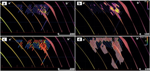 Figure 12. Form surfaces assessed in section looking NE along the fold axial plane (a′–b′ in Figure 11e); refer to Figure 11 for the legend. (a) The plunge of the grade was assessed against the form surfaces. (b) A series of grade shells were created using a structural trend based on the form surfaces to drive the implicit modelling interpolant. (c) The porphyry is compared against the grade-based fold trends; the porphyry volume is shown (in red). (d) A porphyry wireframe model was generated using the form-surface trend model to drive the interpolation.