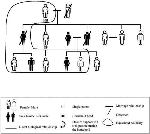 Figure 4. A genogram representing the family structure of household no 6.