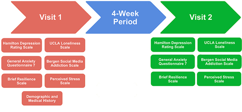 Figure 1 Outline of two virtual visits, separated by 4-week interval period. Total scores were obtained at each visit for all clinical assessments.
