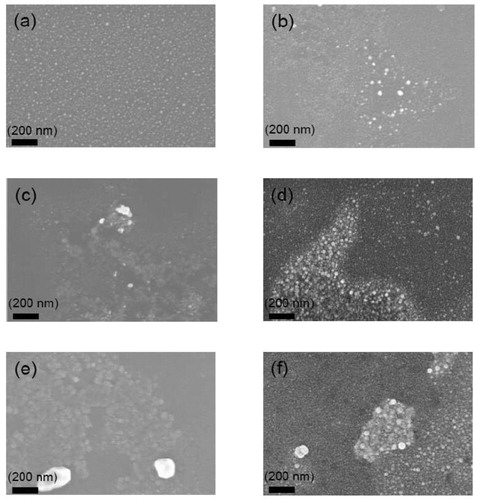 Figure 2. SEM images of the surface morphology evolution of 2 nm Ag layer coated with different barrier thicknesses produced at moderate deposition rate. (a) no barrier (b) 10 nm barrier (c) 20 nm barrier (d) 30 nm barrier (e) 40 nm barrier (f) 50 nm barrier.