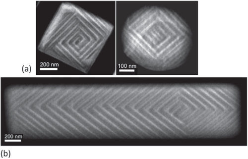 Figure 2. Scanning transmission electron microscopy (STEM) images of the ferroelastic domains that form, on cooling through the Curie temperature, in patterned single crystal BaTiO3 shapes. The vertex point, where domain bundles meet, moves from approximately the geometric center in squares and circles (a) to strongly off-center in oblongs (b).