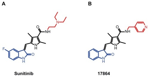 Figure 1 Structures of the multitargeted tyrosine kinase inhibitor sunitinib (A) and the ULS-linkable sunitinib derivative 17864 (B). The aliphatic N-2-(diethylamino) ethylene sidechain of sunitinib has been replaced by a N-4-methylpyridine side chain (red). When binding to target kinases, the oxindole moiety (blue) of the drug is located in the adenine region of the ATP-binding pocket, while the N-2-(diethylamino) ethylene moiety or N-4-methylpyridine are protruding outwards.Abbreviation: ATP, adenosine triphosphate.