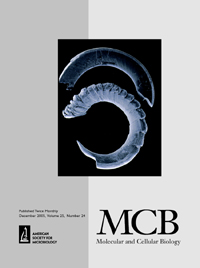 Cover image for Molecular and Cellular Biology, Volume 25, Issue 24, 2005
