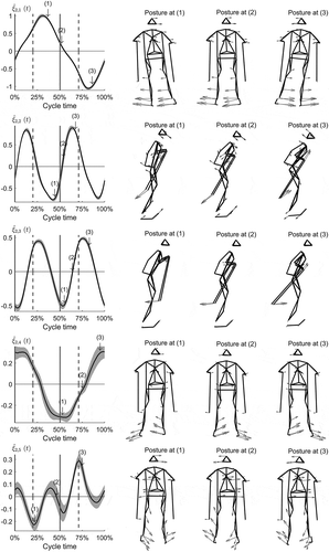 Figure 2. Time evolution coefficients of the postural movements 1–5 (left column) and stick figures (right column) representing the posture at the indicated time points (1,2,3). Time evolution coefficients: black line represents the average stride of an example athlete, shaded area represents cycle-to-cycle SD. Vertical lines indicate pole take-offs (dashed) and pole plants (solid). Postures: Arrows indicate the velocity vector of each marker at that time point. Scaling of arrows differ between different pmk.
