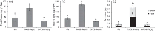 Figure 3. Effect of TAGE-Fe(III) on Fe accumulation in naat1 mutant rice. Mutant rice was cultured in nutrient medium with or without supplementation of TAGE-Fe(III) or DFOB-Fe(III) for 12 days. Iron concentration in shoots (a) and roots (b), and the amount of Fe accumulated (c) are shown. Data are presented as means ± standard deviations (n = 4). Different letters indicate significant differences (P < 0.05) using Tukey’s test