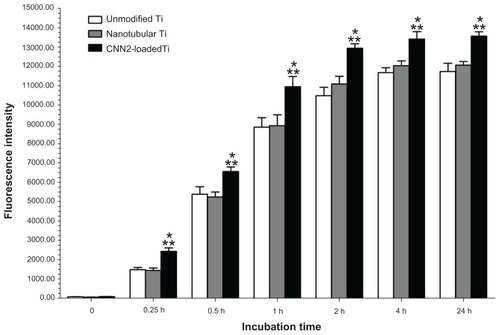 Figure 5 Increased fibroblast adhesion to CCN2 (connective tissue growth factor)-loaded nanotubular titanium.Notes: n = 6; *P < 0.05 compared to nanotubular titanium; **P < 0.05 compared to unmodified titanium.Abbreviations: CNN2, connective tissue growth factor; Ti, titanium.