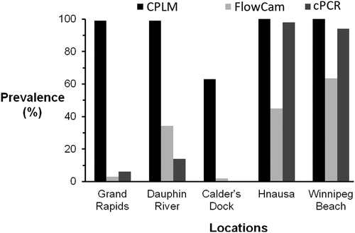 Figure 2. Prevalence (proportion of samples with positive detections) of zebra mussels in samples analyzed using CPLM, FlowCam, and cPCR. Lake water volumes surveyed for a given subsample varied from 1 to 3 m3 (complete samples) for CPLM, from 0.06 to 0.18 m3 for FlowCam, and were 0.02 and 0.06 m3 for cPCR.