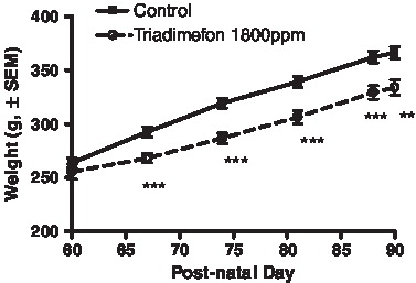 FIGURE 1  Body weight of control and triadimefon treated rats over the course of dosing. Solid line, control, dashed line, triadimefon 1800ppm treatment. Error bars represent standard error mean. **p < 0.01, ***p < 0.001.