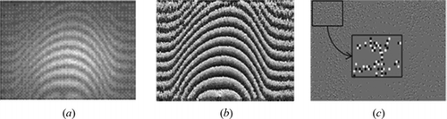 Figure 5 Experimental phase data obtained by interferometer for candle flame: (a) The observed fringe pattern with enhancement of contrast; (b) wrapped phase map obtained by Fourier domain method; and (c) SPs distributions, (positive and negative SPs are represented by white and black dots, respectively).