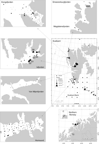 Fig. 1  Distribution and abundance of hermit crabs Pagurus spp. in the studied areas. Data on pelagic zoea larvae are from Węsławski et al. (Citation1991), Węsławski, Koszteyn et al. (Citation1999), Węsławski, Stempniewicz et al. (Citation1999), Kwasniewski et al. (Citation2010), Jakubas et al. (Citation2011), Kwasniewski et al. (Citation2012), Weydman et al. (Citation2013) and Gluchowska et al. (unpubl. ms.).