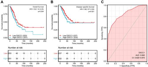 Figure 4 Impact of DSCC1 expression on overall survival (A), disease-specific survival (B) in patients with LUAD in TCGA (The Cancer Genome Atlas) cohort. Receiver operating characteristic is used to evaluate the diagnostic efficacy of DSCC1 for LUAD (C).