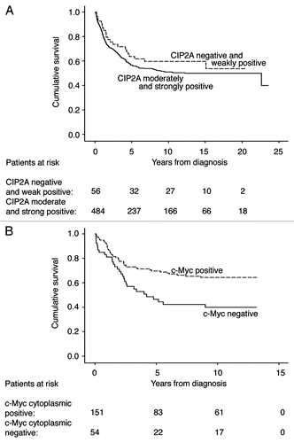 Figure 2. Survival analysis for CIP2A and c-Myc expression in colorectal cancer patients. (A) Disease-specific overall survival analysis according to the Kaplan-Meier method for cytoplasmic CIP2A immunoreactivity in the test series (p = 0.270, log-rank test). (B) Disease-specific overall survival analysis according to the Kaplan-Meier method for cytoplasmic c-Myc immunoreactivity in the validation series (p = 0.003, log-rank test).