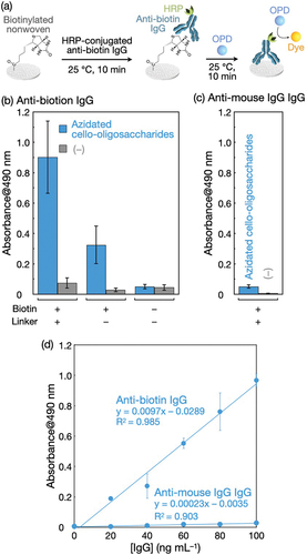 Figure 7. The detection of anti-biotin IgG using the biotinylated polyolefin nonwoven. (a) Scheme for the IgG detection. Absorbance at 490 nm of the HRP-catalyzed reaction products from (b) HRP-conjugated anti-biotin IgG and (c) HRP-conjugated anti-mouse IgG IgG adsorbed on the biotinylated nonwoven and control samples. IgGs were applied at 100 ng mL−1 to nonwovens. The leftmost bars in (b) and (c) (azidated cello-oligosaccharides with biotin (+) and linker (+)) represent the results for the biotinylated nonwovens, and ‘linker’ denotes BCN-amine. The absorbance values are presented as the average of nine individual trials, and the error bars represent the standard deviation of those trials. (d) Effect of IgG concentration on absorbance at 490 nm for detection. The absorbance values are presented as the average of three individual trials, and the error bars represent the standard deviation of those trials.