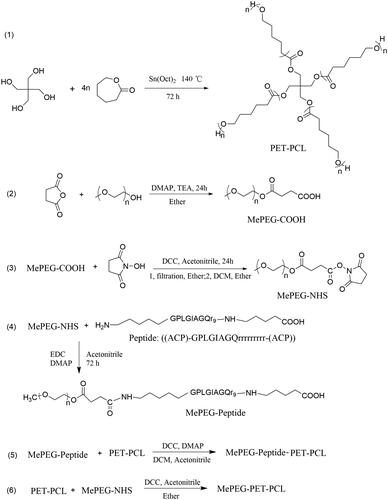 Figure 1. Synthesis scheme of MePEG-peptide-PET-PCL and MePEG-PET-PCL.