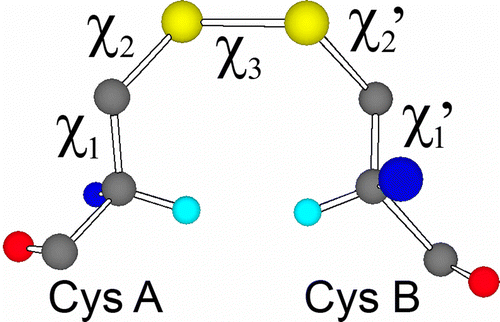 Figure 1 An example of a disulfide-bond conformation (G′GG′) between two cysteine residues showing the five critical torsion (dihedral) angles. Hα atoms are shown in cyan.