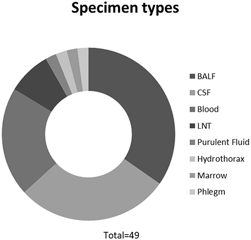 Figure 1 Specimen types of 49 cases of suspected opportunistic infections in PLWH.