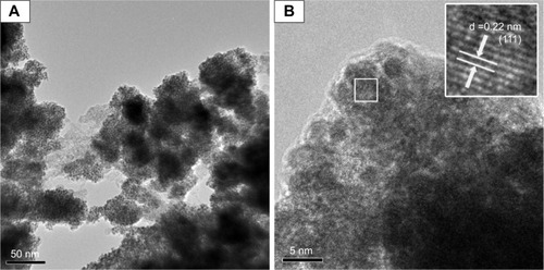 Figure 1 TEM (A) and HRTEM (B) images of as-synthesized FePt-Cys NPs.Note: The arrows in the inset of B indicate the distance between the two adjacent planes.Abbreviations: d, interplanar distance; FePt-Cys, l-cysteine coated FePt; HRTEM, high-resolution TEM; NPs, nanoparticles; TEM, transmission electron microscopy.