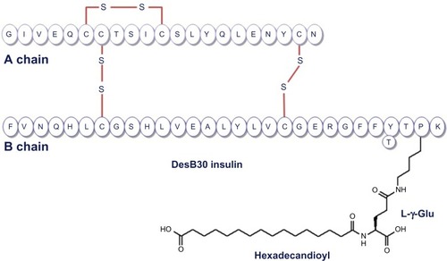 Figure 1 Structure of insulin degludec DesB30 LysB29 (γ-Glu Nε-hexadecandioyl) human insulin.