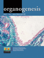Cover image for Organogenesis, Volume 5, Issue 1, 2009