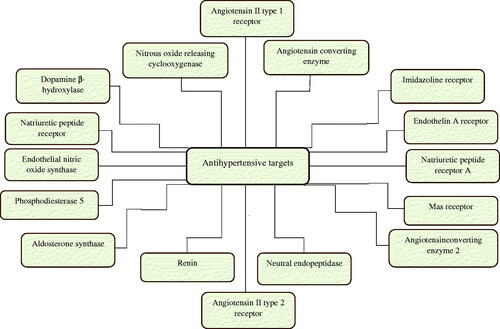 Figure 1. Novel molecular targets for antihypertensives.