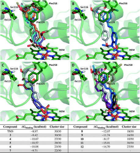 Figure 5. Comparison of the binding mode calculated for trimethylstilbene (TMS; shown in grey), with that observed for compounds (A) 3 (cyan), 4 (purple), 5 (orange), 6 (yellow); (B) 7; (C) 8 (purple), 9 (orange); (D) 10 (purple), 11 (blue) and 12 (yellow) in the active site of human CYP1A1. 3D figures were generated using PyMOL Molecular Graphics System (DeLano Scientific LLC, Palo Alto, CA, 2007).