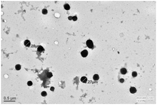 Figure 1. TEM image of nanoceramic core.