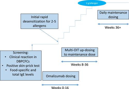 Figure 2 Example of multi-OIT protocol with omalizumab.