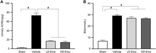 Figure 3 Effects of Emo on changes in urinary albumin/urinary creatinine ratio and blood glucose. Data are expressed as mean ± SEM. # P < 0.01.