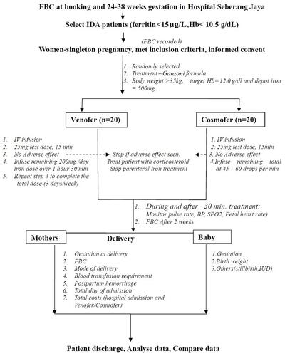 Figure 1 Methodology Chart.