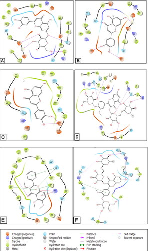 Figure 9. 2D diagrams of ligands interactions with the active sites. (A) Luteolin 7-O-glucoside interactions with the active site of 5L7I. (B and C) Luteolin interactions with the active site of 4QIM and 4QIN, respectively. (D) Isorhamnetin-3-O-rutinoside interactions with the active site of 4O9R. (E) Trimethoxyflavone interactions with the active site of 4N4W. (F) Isorhamnetin-3-O-rutinoside interactions with the active site of the Caspase-3 receptor (3GJQ).