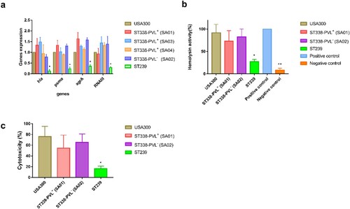 Figure 7. Expression of virulence toxins and cytotoxicity of ST338 isolates. a. Expression of hla, psmα, agrA, and RNAIII in ST338 isolates compared to USA300 and ST239 strains. b. α-Toxin activity and production in ST338 isolates compared to USA300 and ST239 strains. c. Cytotoxicity of ST338 in human neutrophils compared to USA300 and ST239 strains. Values represent mean±SD of 3 independent experiments. *P<0.05, **P<0.01.