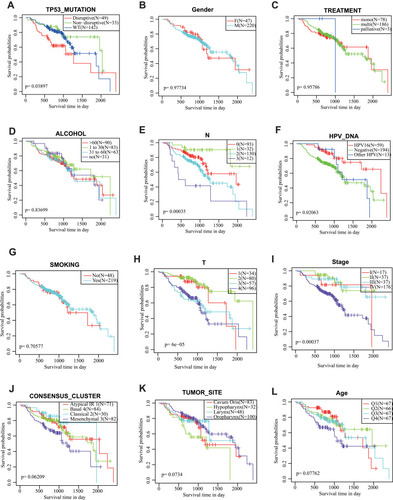 Figure 1 (A) KM curves of different degrees of TP53 mutation; (B) KM curves of different genders; (C) KM curves of different treatments; (D) KM curves of drinking or not; (E) KM curves of different lymph node metastases; (F) KM curves of different HPV DNA; (G) KM curves of smoking or not; (H) KM curves of different invasion levels; (I) KM curves of different UICC states; (J) KM curves of different genotypes; (K) KM curves of different tumor sites; (L) KM curves of different age groups, where Q1\Q2\Q3\Q4 respectively represent the quartile range.