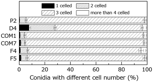 Fig. 5. Comparison of the conidial morphology in the wild type and PoNBS1 mutants. The numbers of septa were counted within the conidia of wild type and PoNBS1 mutants. Each data point represents the mean ± SE (n ≥ 100).