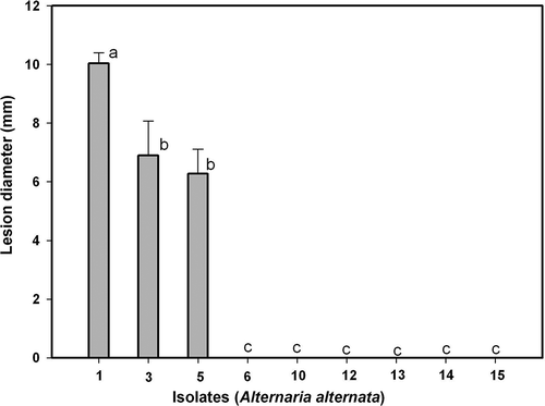 Fig. 5. Pathogenicity of Alternaria alternata isolates Alt1, Alt3, Alt5, Alt6, Alt10, Alt12, Alt13, Alt14 and Alt15 on unwounded leaves of ‘Fortune’ mandarin. Vertical bars denote ± SE, when larger than symbols. Values not sharing a common superscript letter are significantly different (P < 0.05).