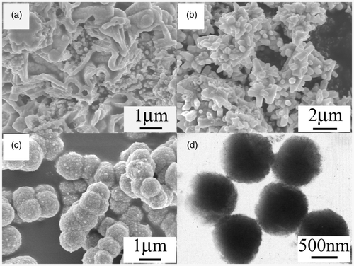 Figure 3. SEM images of the products prepared at 120°C for (a) 3 h, (b) 60 h, (c) without CTAB and (d) the corresponding TEM image.
