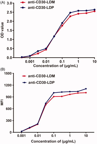 Figure 1. Anti-CD30-LDM retains the specific binding to CD30 antigen and CD30 positive cells in vitro. (A) Binding activity of anti-CD30-LDM and anti-CD30-LDP to recombinant human CD30 by ELISA. (B) Binding curves of increasing concentrations of anti-CD30-LDM and anti-CD30-LDP to Karpas 299 cancer cells by FACS analysis. The vertical axis represents the MFI values.