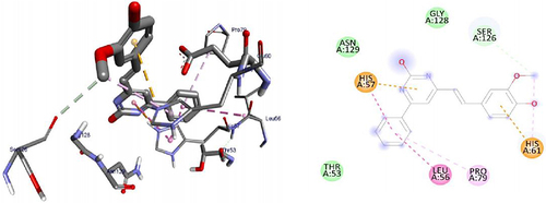 Figure 8 3D (right) and 2D (left) representations of the binding interactions of 11 against LuxS of S. pyogenes (PDB ID: 4XCH).