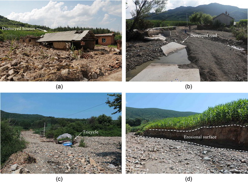 Figure 2. Debris flow disasters identified in the field: (a) destroyed houses; (b) destroyed road; (c) buried vehicle; and (d) destroyed farmland.