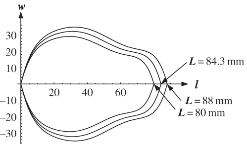 Figure 5 Pear outlines based on pear length.