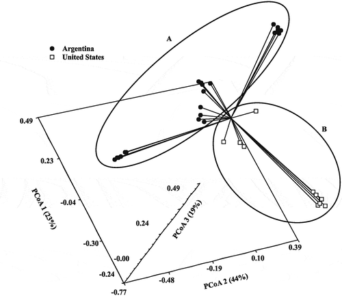 Fig. 3 Three-dimensional principal coordinate analysis (3D PCoA) of 33 isolates of Macrophomina phaseolina collected from soybean in Argentina (A) and two states in the USA (B) using 28 SSR markers.