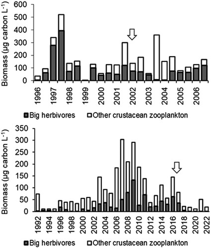 Figure 9. June–September averages of the biomass of big herbivorous and other crustacean zooplankton in lakes Kirkkojärvi (top) and Littoistenjärvi (bottom). Big herbivorous zooplankton comprised Daphnia species, Holopedium gibberum, Limnosida frontosa, and Sida crystallina as well as copepodid and adult Eudiaptomus spp. calanoids. Block arrows indicate the year of aluminum treatment.