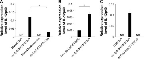 Figure 6 Induction of IL-12 transcript in RAW264 cells.Notes: (A) CaP was a superior carrier to Lipo for IL-12 induction by ds CpG-B72-PD. (B) Entrapment of ds CpG-B72-PD enhanced IL-12 induction. (C) IL-12 was induced to a greater degree by ds CpG-B72-PD/CaP than by D35/CaP or ds CpG-free72-PD/CaP. D35/CaP, D35 entrapped by CaP; D35, conventional CpG-A. Data represent mean ± SD (n=3). *p<0.05 (two-tailed unpaired Student’s t-test).Abbreviations: IL, interleukin; CaP, calcium phosphate; Lipo, Lipofectamine 2000; ds, double stranded; CpG-B, class B CpG; PD, phosphodiester; CpG, cytosine-guanine; CpG-A, class A CpG; ND, not detected.