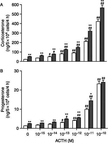 Figure 1 Effects of ACTH (10-15 to 10-10 M) on release of corticosterone (A) and progesterone (B) in primary adrenal cultured cells from adult male HAA (open bar) and LAA rats (close bar). Results represent the means ± SEM of three different experiments performed in quadruplicate. #, ##P < 0.05, P < 0.01 as compared with basal level (0M) of each strains, respectively. *, **P < 0.05, P < 0.01 as compared with HAA rats, respectively.