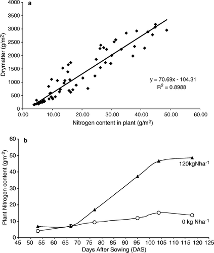 Figure 1.  (a) Relationship between plant nitrogen content and dry matter per unit area. (b) Variation of the plant nitrogen content per unit area for different nitrogen levels during the crop growth.