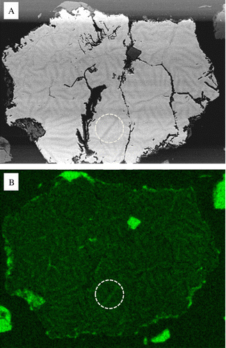 Fig. 8  Chemical maps of zoned pyrite after 390 day exposure. (A) BSE micrograph showing the distribution and phase contrast of low Z elements. (B) Elemental map of oxygen enrichment associated with the dark phase contrast network shown in (A), note the perforated circled area.