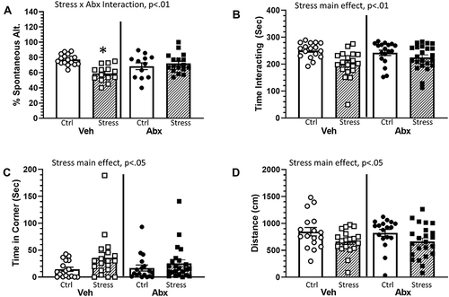 Figure 1 Stress effects on cognitive behavior are dependent upon an intact microbiome. Mice were exposed to stress for 6 consecutive days prior to assessing cognitive behavior (Y maze) and social interactions. (A) Exposure to stress reduced the percentage of spontaneous alternations in the Y maze. This effect, however, was dependent upon whether the animals were treated with antibiotics (as indicated by a Stress x Abx interaction (p < 0.01)). Follow-up protected t-tests indicated that animals exposed to stress and treated with antibiotics had a lower percentage of spontaneous alternations than any other group (*p < 0.05 vs all other groups). Exposure to stress also decreased social interactions. Defeated mice spent less time interacting with a conspecific ((B), main effect of stress, p < 0.01) and more time in the corners of the maze ((C), main effect of stress, p < 0.05). Stressor-exposed mice also had significant reductions in the total distance traveled during the social avoidance testing ((D), main effect of stress, p < 0.05). n = 12–15 per group from 3 replicate experiments.