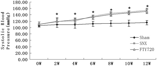 Figure 1. Effects of FTY720 on systolic blood pressure in the subtotally nephrectomized rats. After the subtotal nephrectomy, blood pressure rose significantly in the SNX group compared with the sham group. Treatment with FTY720 did not attenuate these abnormalities. n = 8, *p < 0.01 versus sham.