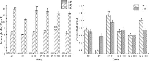 Figure 8. Immune globulin (A) and cytokines levels in serum (B) in mice (n = 5).